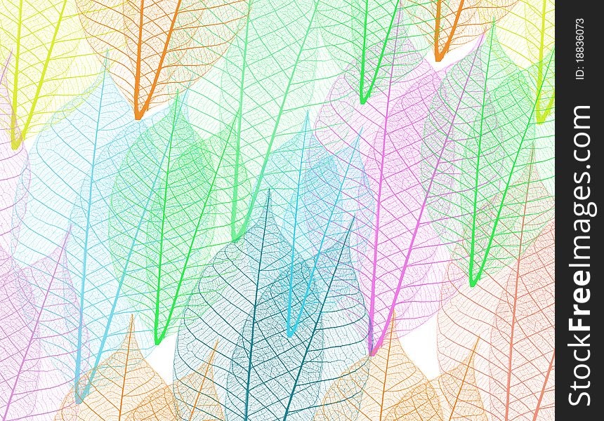 Skeleton Leaves Background