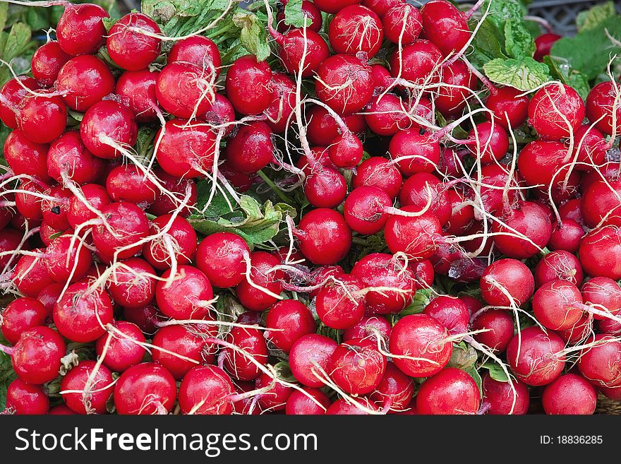 A lot of a wet radish isolated a white background. A lot of a wet radish isolated a white background