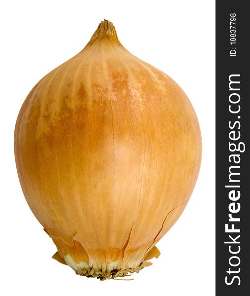 Ripe onion isolated on white background. Clipping path included.