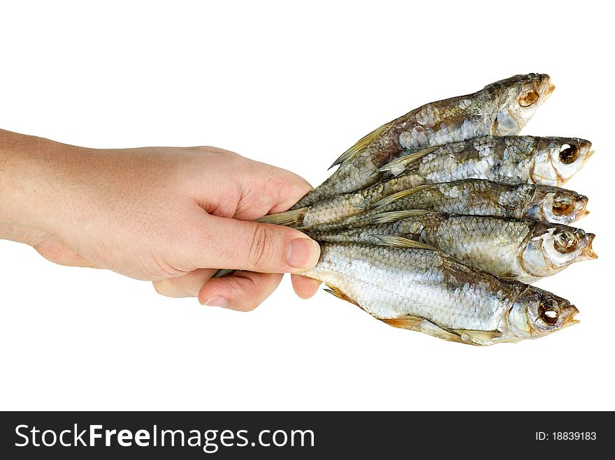 Hand hold few salted dried fishes isolated on the white background