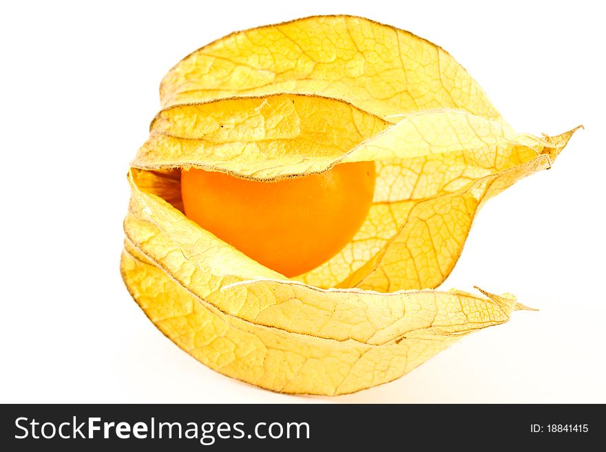 Yellow ripe fruit of Physalis Peruvian on a white background. Yellow ripe fruit of Physalis Peruvian on a white background