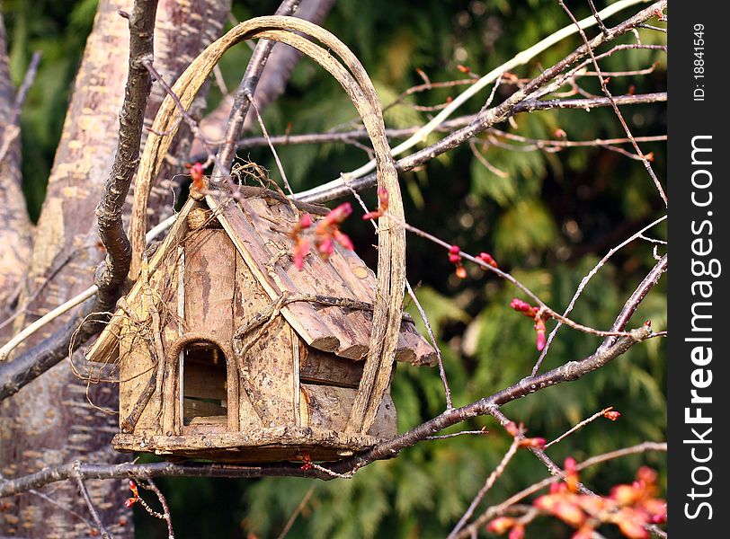 Log cabin-like birdhouse in tree that has Spring buds.