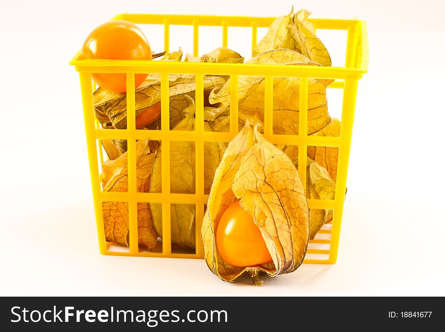 Yellow ripe fruit of Physalis Peruvian on a white background. Yellow ripe fruit of Physalis Peruvian on a white background