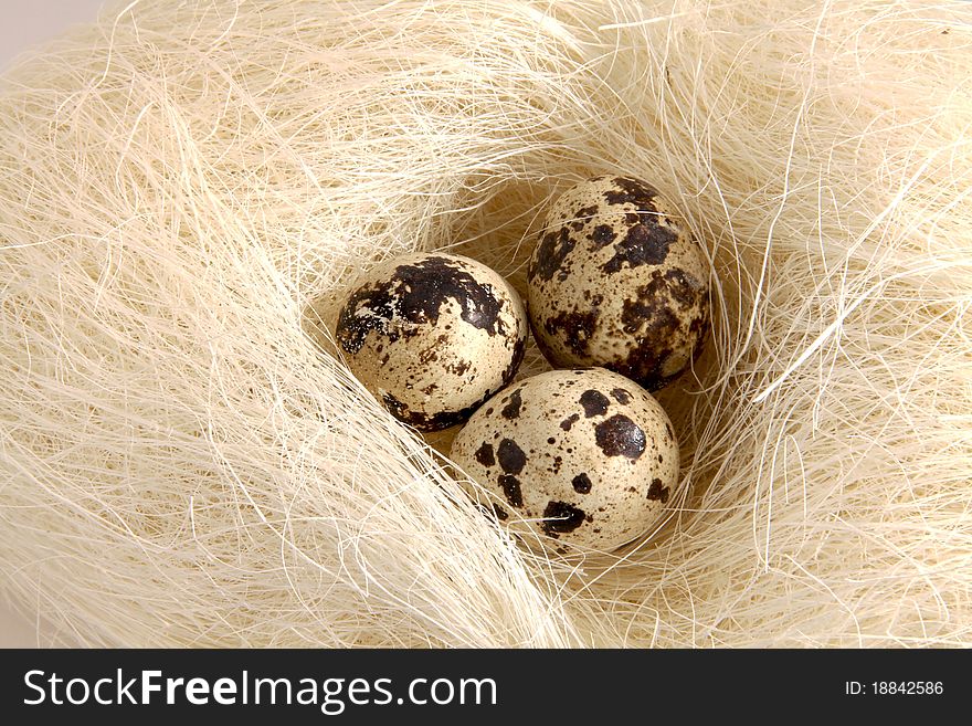 Three quails eggs in a artificial nest