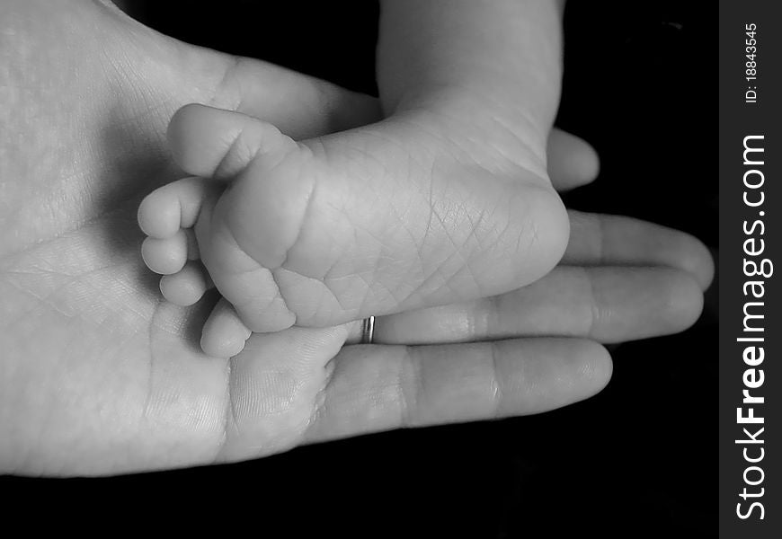 Hand holding a newborn foot. Hand holding a newborn foot