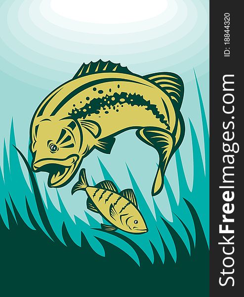 Largemouth bass and perch fish