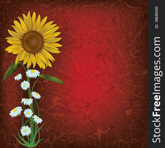 Grunge floral illustration with sunflower and chamomiles on red. Grunge floral illustration with sunflower and chamomiles on red