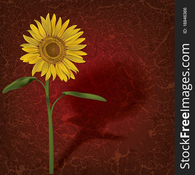 Grunge floral illustration with sunflower on red. Grunge floral illustration with sunflower on red