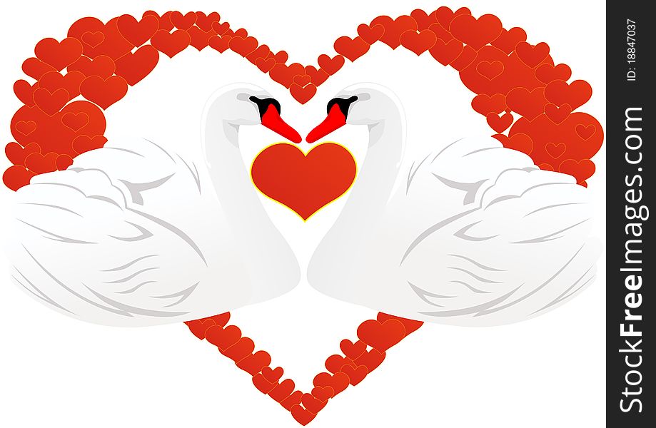 Two white swans on a background of abstract images of the heart. Two white swans on a background of abstract images of the heart