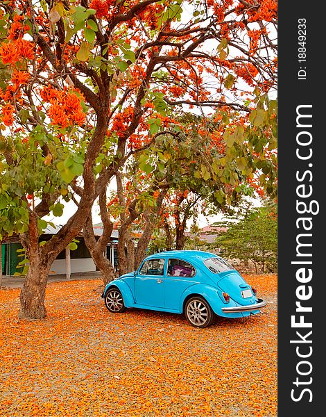 Old car with the flowers