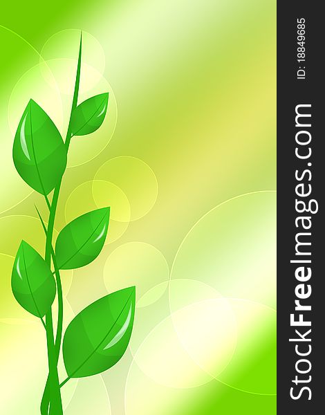 Illustration of green branch on an abstract background