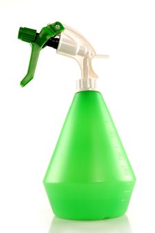 Green Flower Spray Stock Photo Green Flower Spray Stock Photo