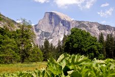 Half Dome At Yosemite Stock Images Half Dome At Yosemite Stock Images