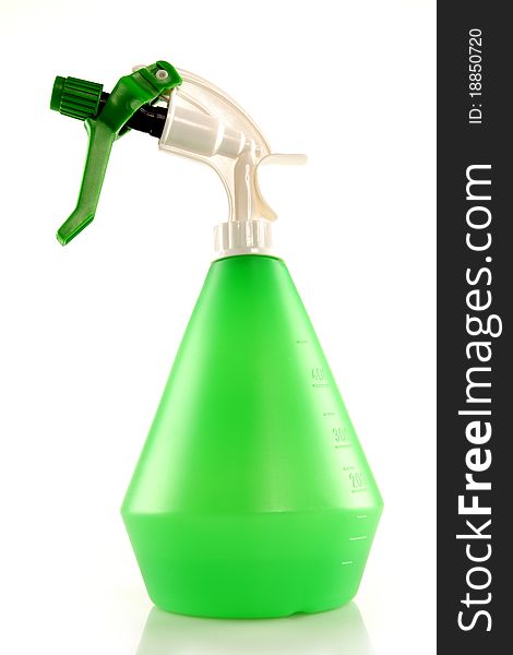 Green flower spray on a white background, clipping path