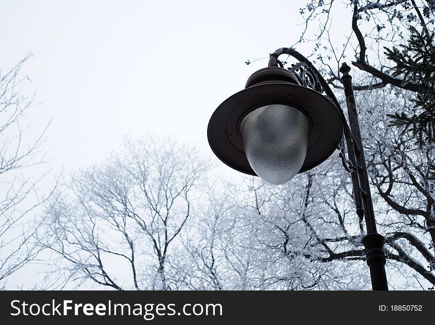 Old stylish street lamp in a park, photographed on a winter day