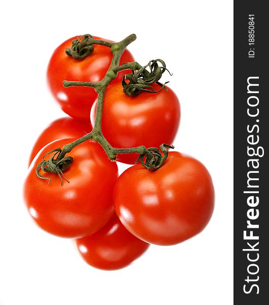 Fresh, red tomatoes on a white background. Fresh, red tomatoes on a white background