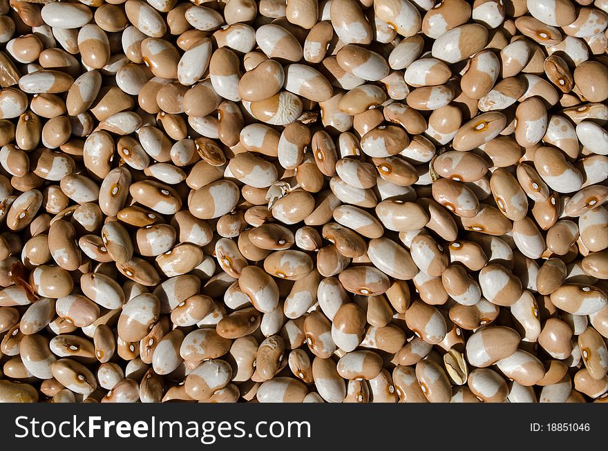 Painted Beans - Healthy Fiber Food
