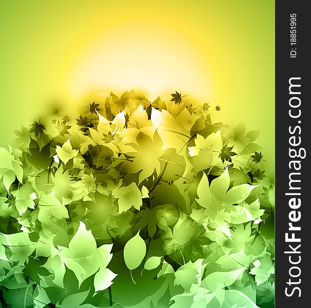 Vector leaves background - green color, sunny day vector. Vector leaves background - green color, sunny day vector