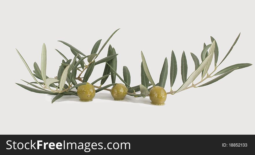 Olives with a branch and leaves on a white background