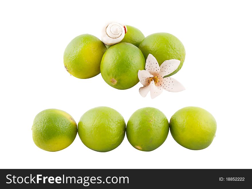 Limes collection isolated on white