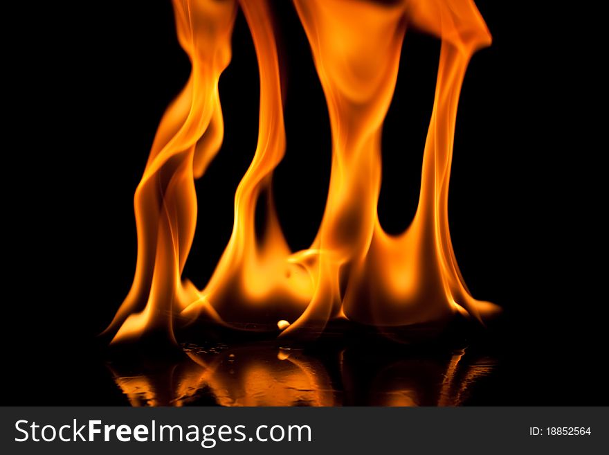 Close-up of fire and flames on a black background