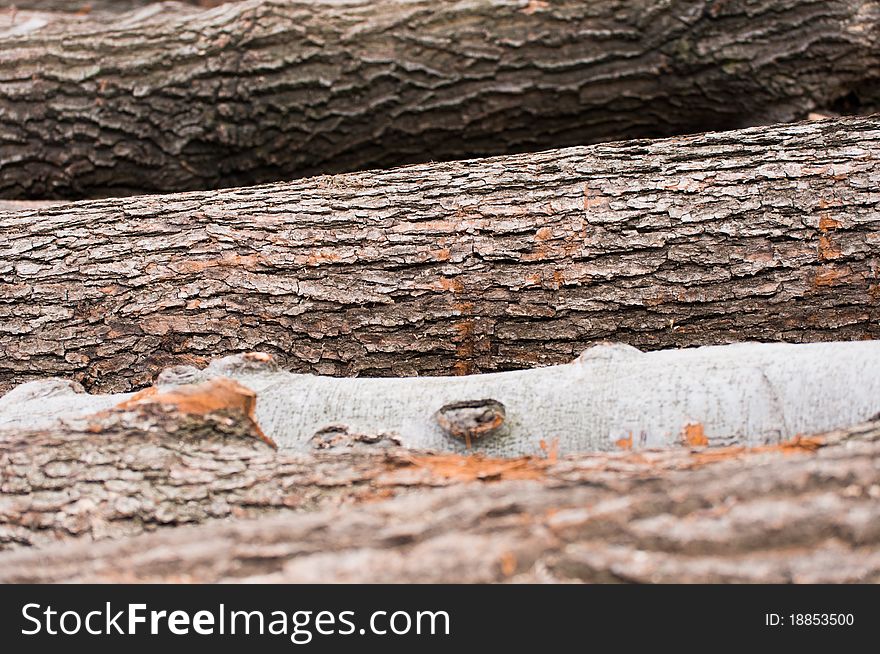 Logs Of Wood Piled Up