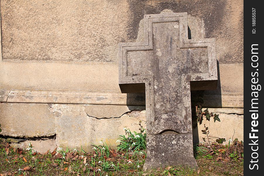 Older burial with blooming snowdrops, spring