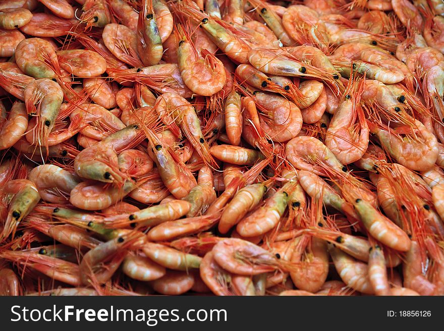 Shrimps in Stockholm fish market