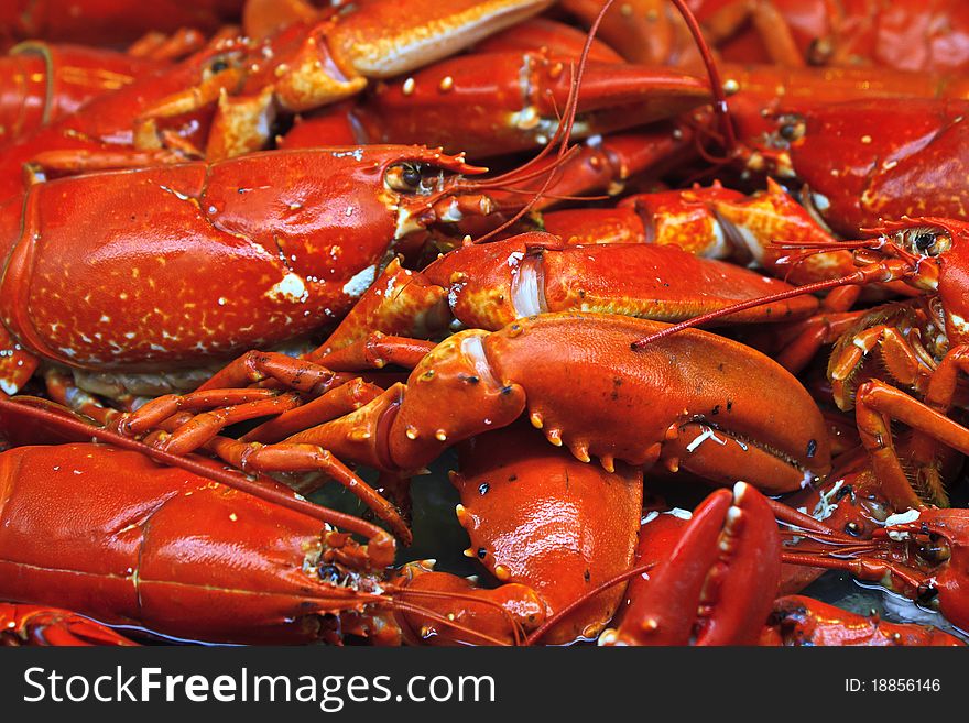 Crayfish in Stockholm fish market