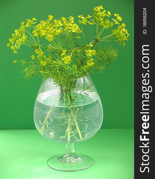 Small bouquet of yellow wild flowers in wine glass on green background. Small bouquet of yellow wild flowers in wine glass on green background