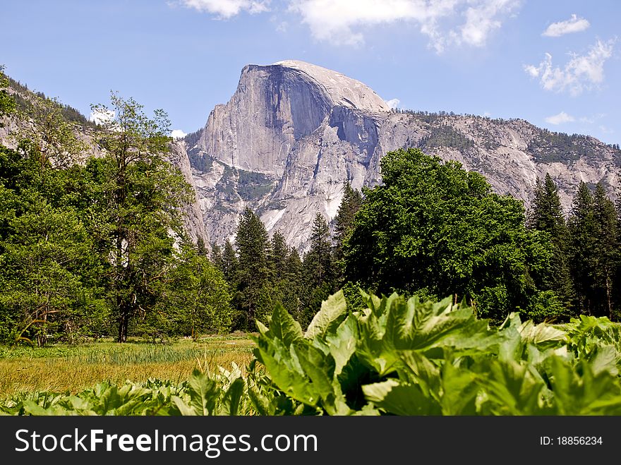 Panoramic view of Half dome in Yosemite California. Panoramic view of Half dome in Yosemite California