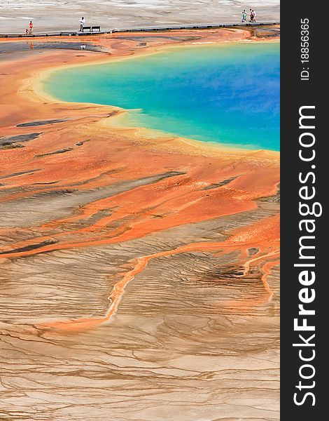 Tourists Taking In The Grand Prismatic