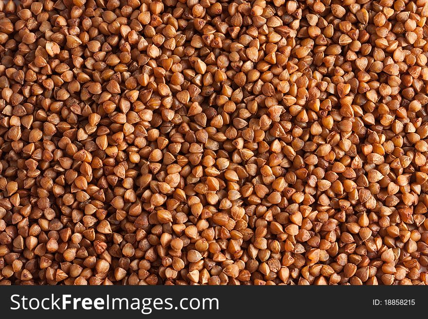 Dry buckwheat seeds in closeup