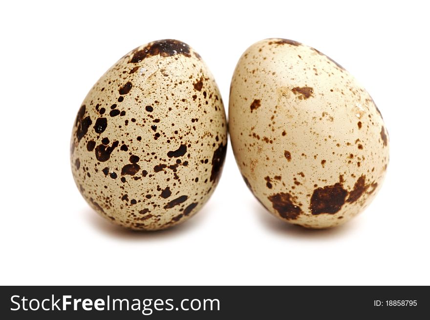 Quail eggs isolated on white background. Quail eggs isolated on white background
