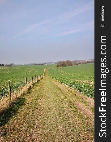 An English Rural Landscape with grassy track through field of Crops