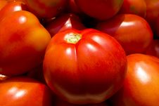 Ripe Tomato Stock Photo Ripe Tomato Stock Photo