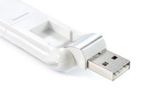 Flash Disk Royalty Free Stock Photography Flash Disk Royalty Free Stock Photography