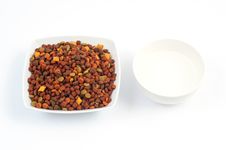 Cat Food Stock Photos Cat Food Stock Photos