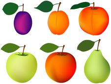Plum Apricot Peach Apple Pear Stock Photos Plum Apricot Peach Apple Pear Stock Photos