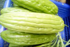 Balsam Pear Royalty Free Stock Photography Balsam Pear Royalty Free Stock Photography