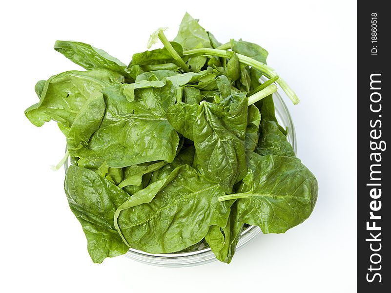 Spinach Isolated On White