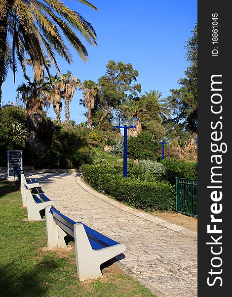 Park in Jaffa with palm trees, Israel