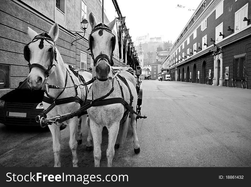 Horses and carriage in city center of Salzburg, Austria. Horses and carriage in city center of Salzburg, Austria