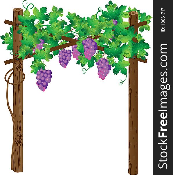 Juicy grapes on a wooden support. Juicy grapes on a wooden support