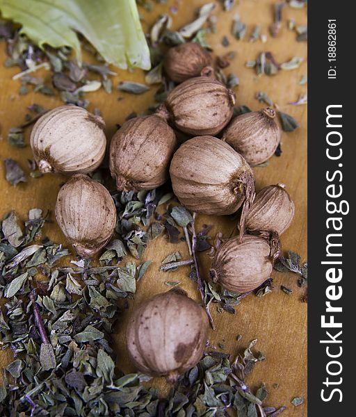 Cardamom (cardamon) with oregano close-up view