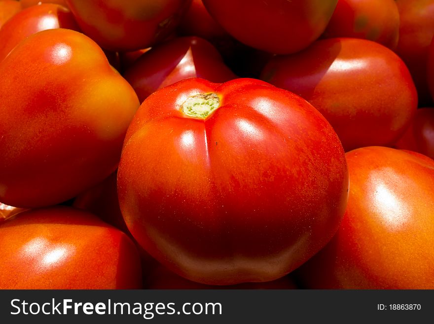 Red ripe tomato fruits after harvesting