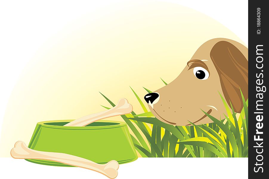 Delicious doggy meal. Bones in a green bowl and dog. Illustration