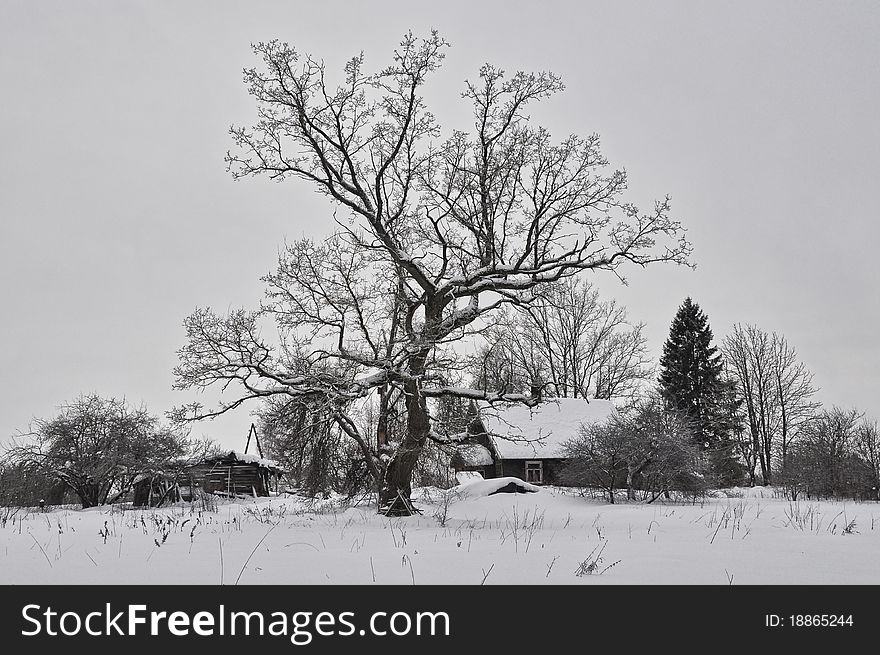 Small house in the cold winter. Small house in the cold winter