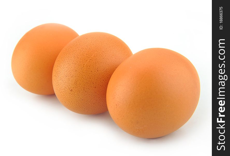 Three animal eggs in a row. White background