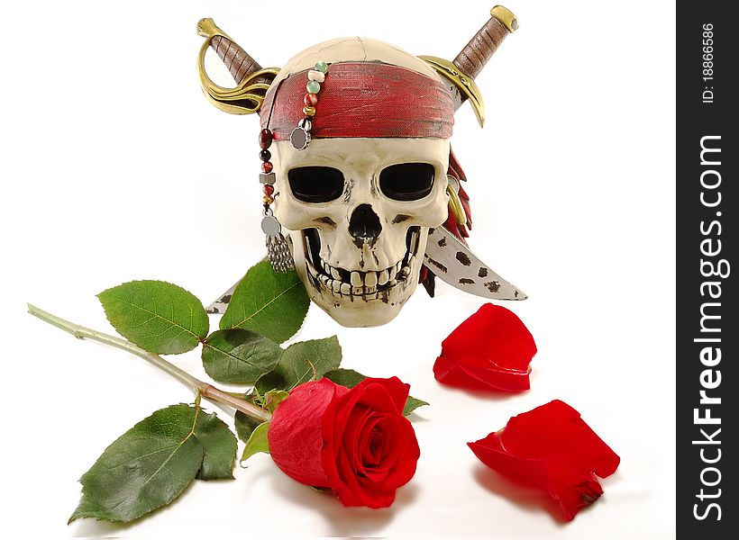 Skull And Red Rose With Petals